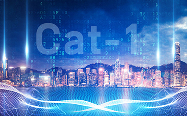 工信部重磅發(fā)文，Cat-1/NB-IoT再次站上新風口