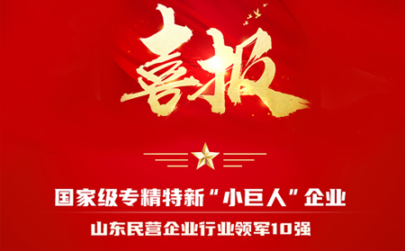 國(guó)家級(jí)專(zhuān)精特新“小巨人”企業(yè)