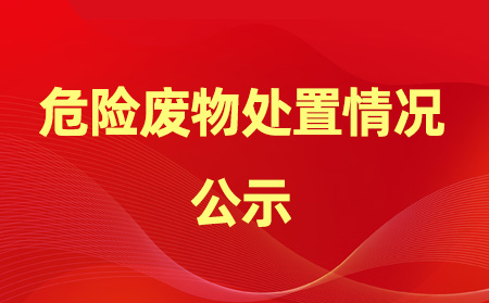2024年危險(xiǎn)廢物產(chǎn)生、處置情況公示